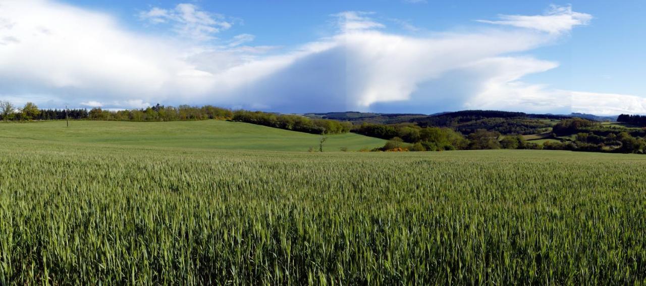 Roulotte Maisonthiers Blanot  Exteriér fotografie
